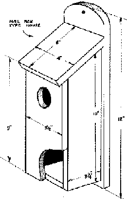 Drawing of mailbox-style bird house.