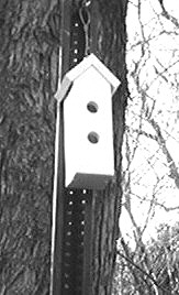 Free Tall Bird House Plan